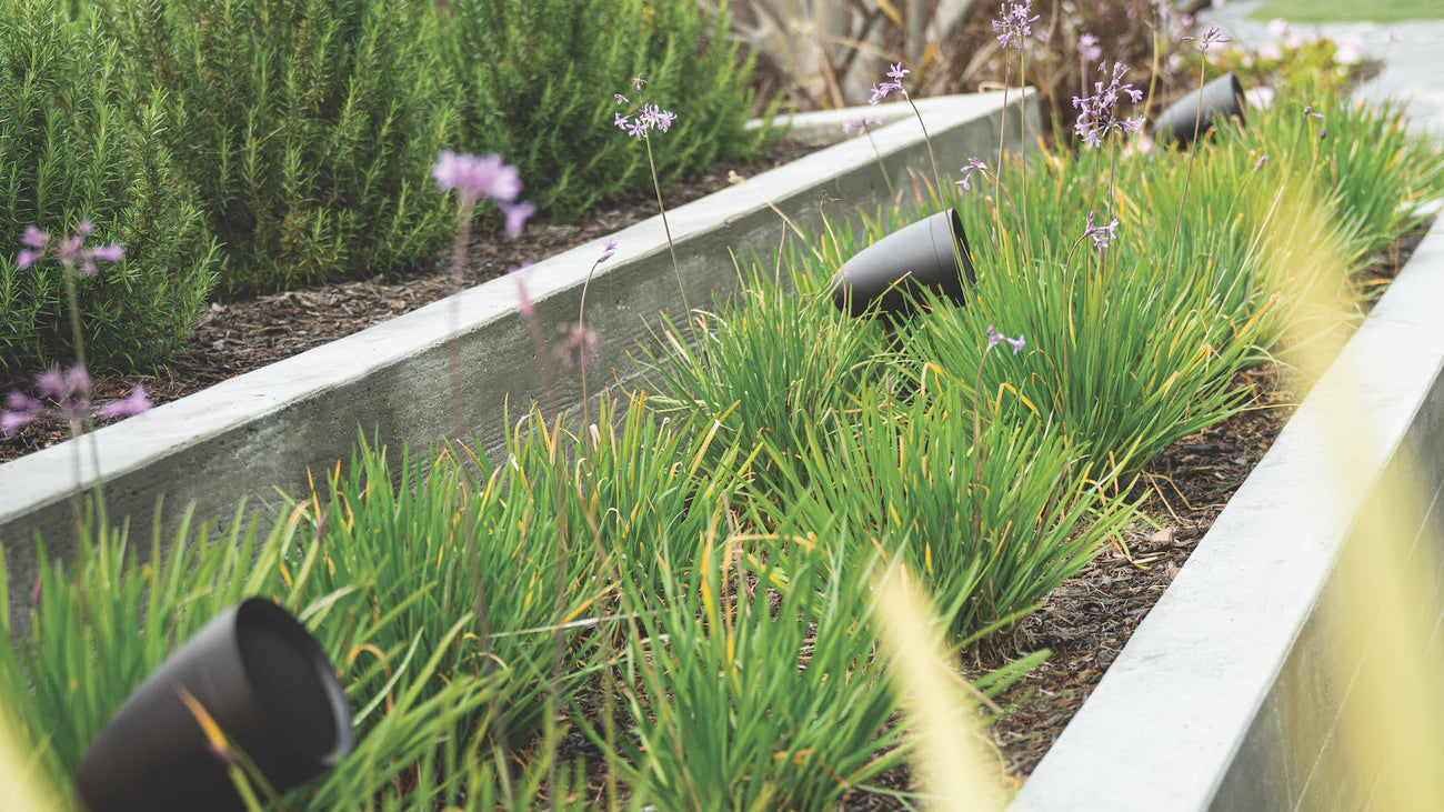 Sonance Lanscape 6.1